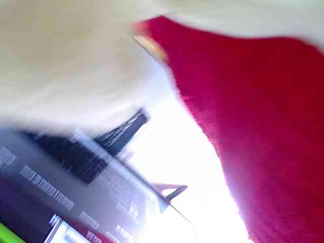 exotic-karmella webcam