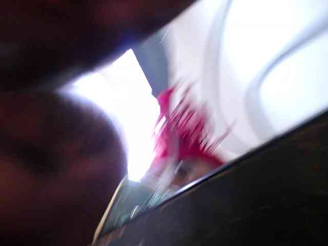 exotic-karmella webcam