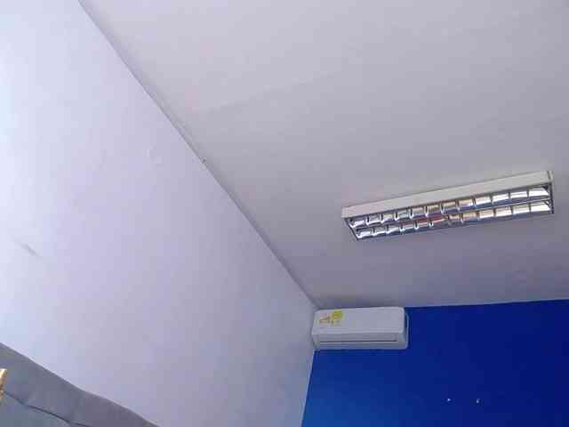 exotic-karmella webcam