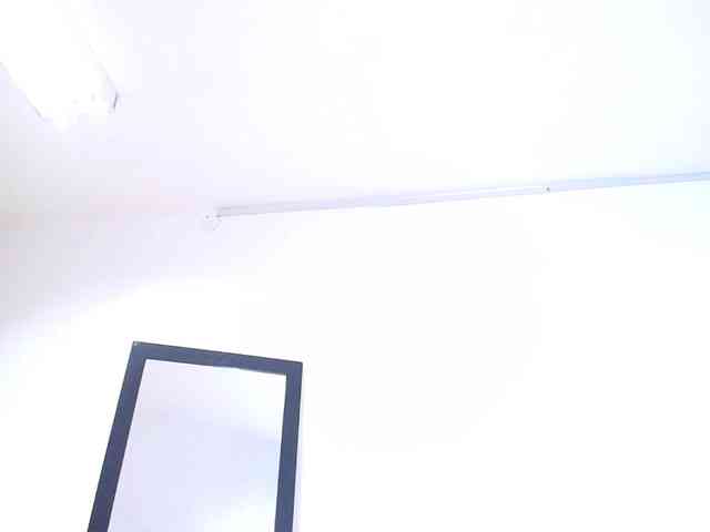exotic-karmella webcam