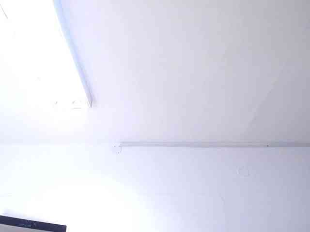 exotic-karmella webcam