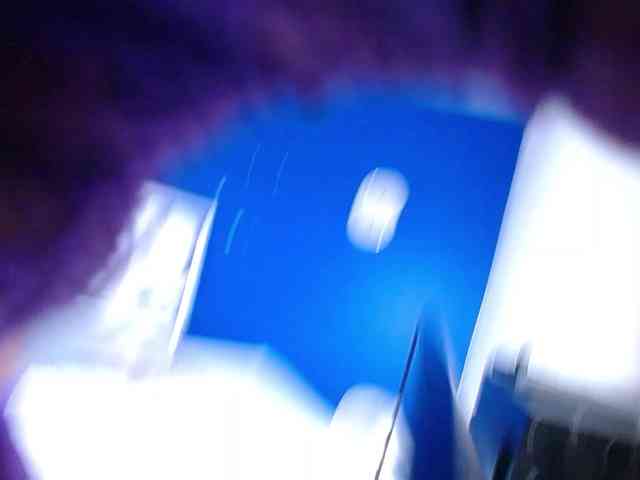 exotic-karmella webcam