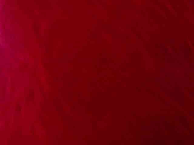 exotic-karmella webcam