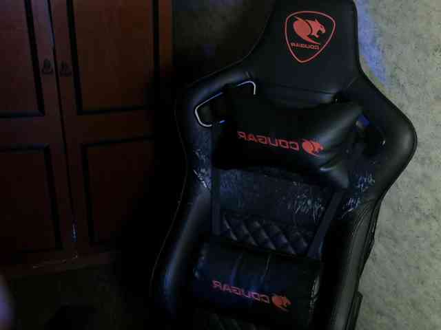 Rachel-Sharps webcam