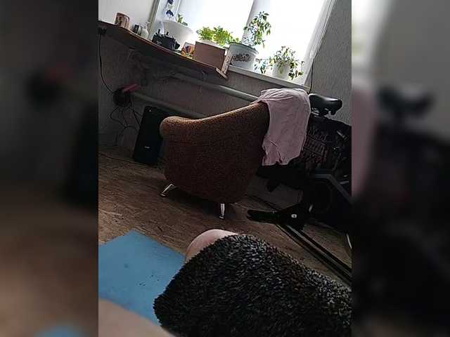 qwersad33's BongaCams profile