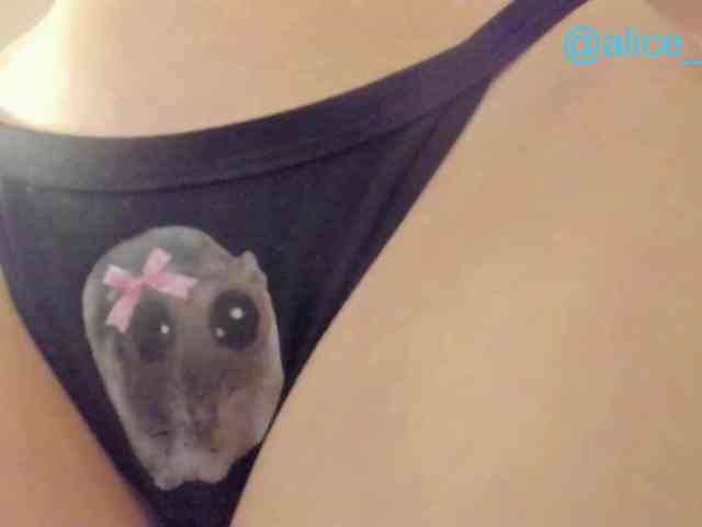 Your-Alice webcam