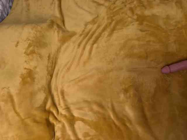 cumonveronica webcam