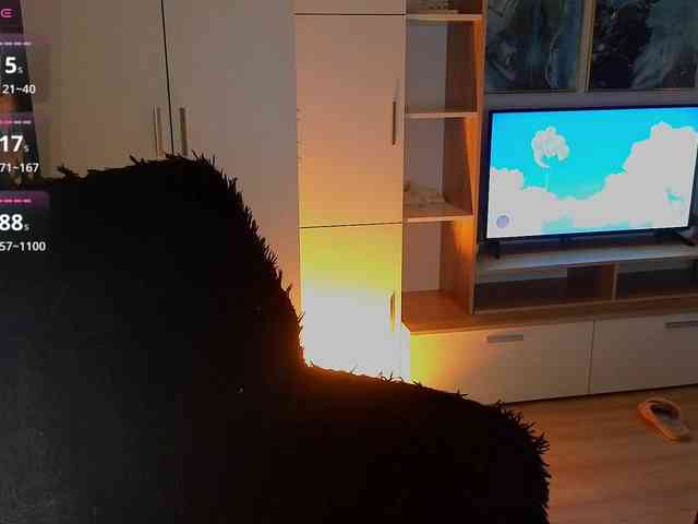 MilanaOmgReal webcam