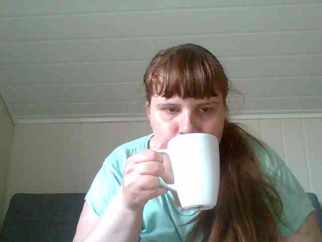 Madonas webcam