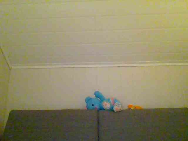 Madonas webcam