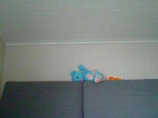 Madonas webcam