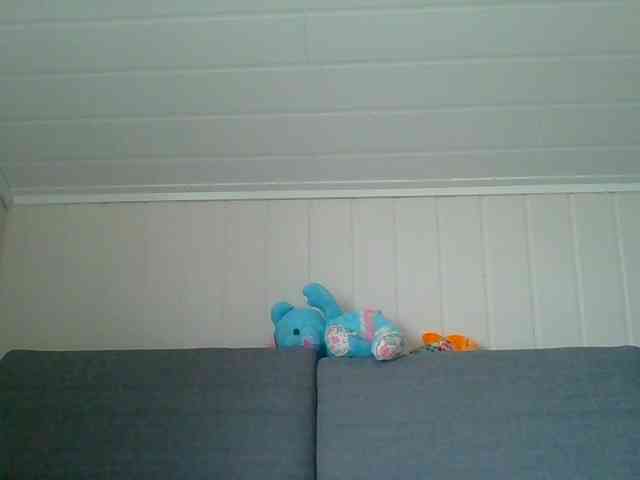 Madonas webcam