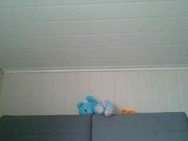 Madonas webcam