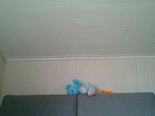 Madonas webcam