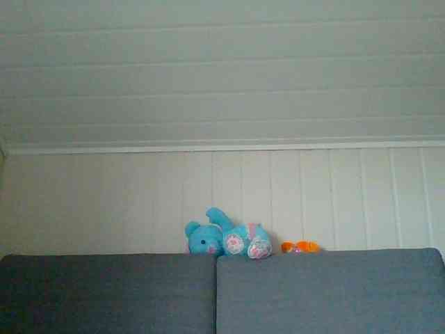 Madonas webcam