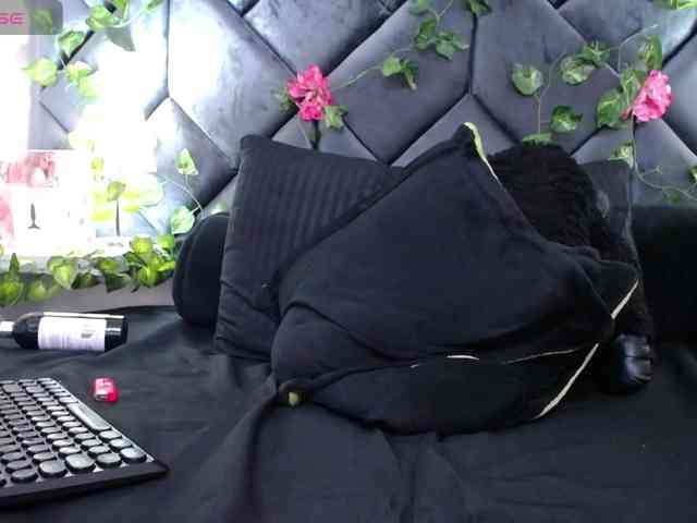 Stellakleppers Live Webcam on BongaCams