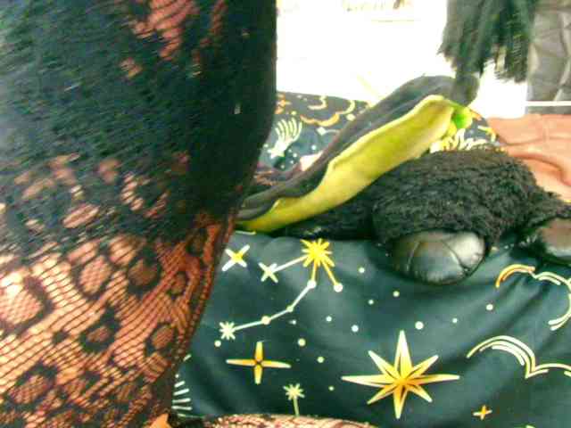 Stellakleppers Live Webcam on BongaCams