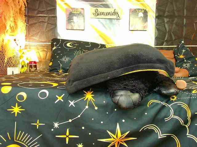 Stellakleppers Live Webcam on BongaCams