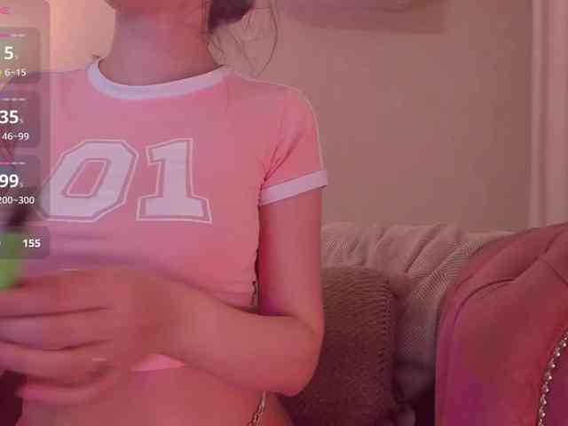 Kaydes webcam