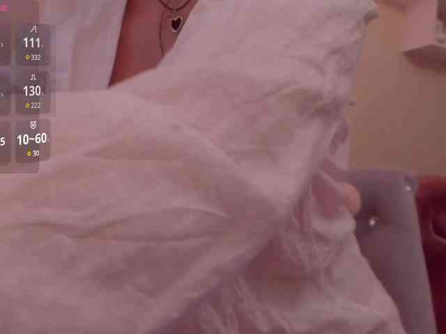 Kaydes webcam