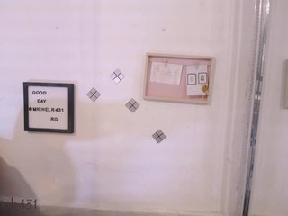 michelreys Porn Show