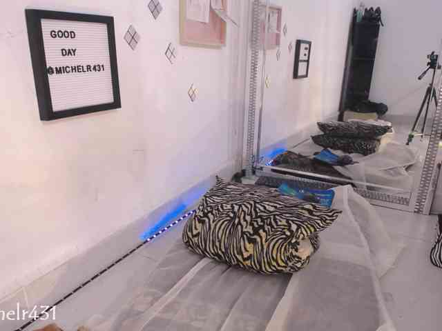 michelreys webcam