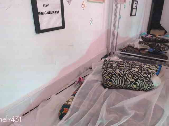 michelreys webcam