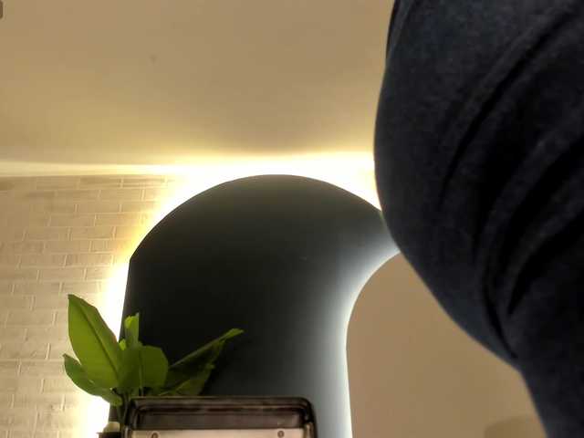 SunnyRiversX's BongaCams show and profile