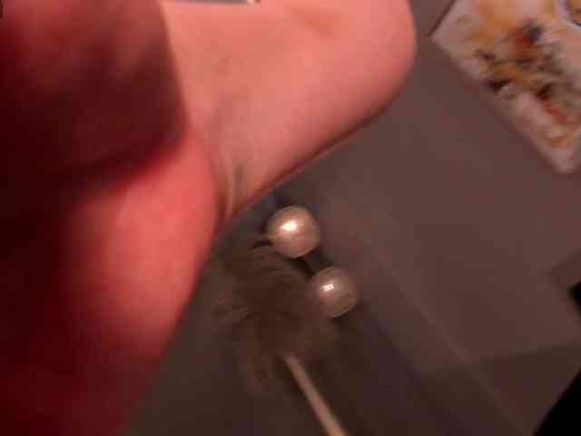 SunnyRiversX SunnyRiversX