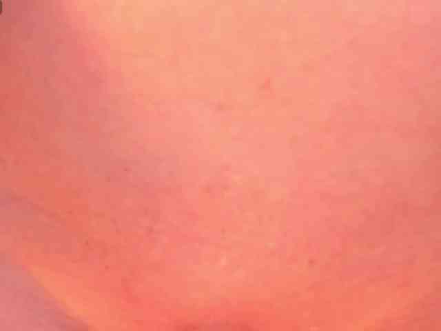 SunnyRiversX webcam