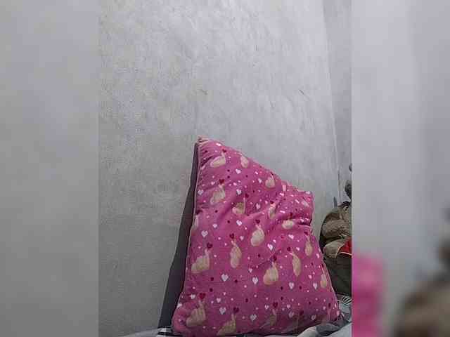 revive02 webcam
