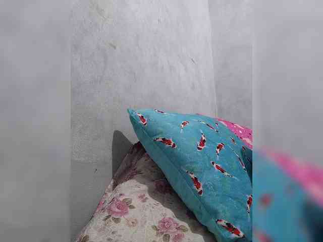 revive02 webcam