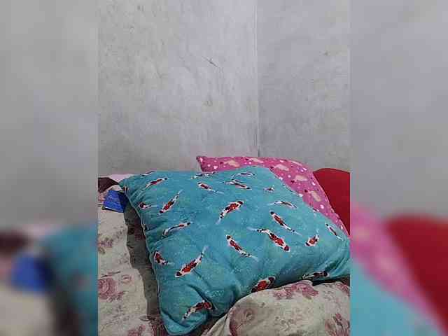 revive02 webcam