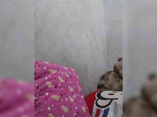 revive02 webcam