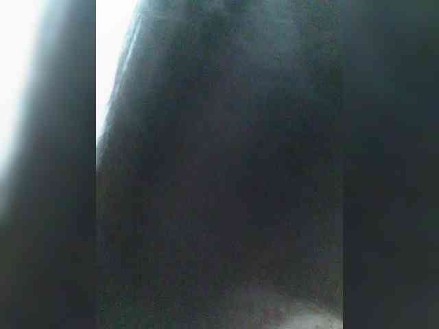 revive02 webcam
