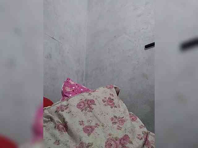 revive02 webcam