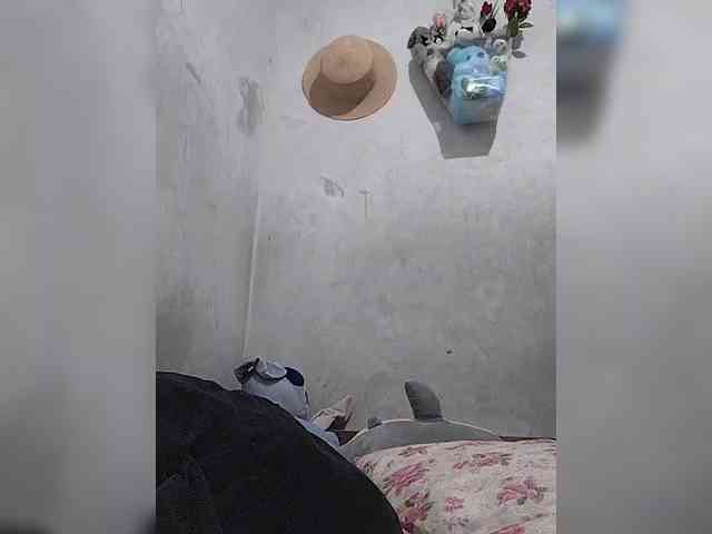revive02 webcam