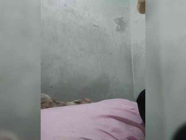 revive02 webcam