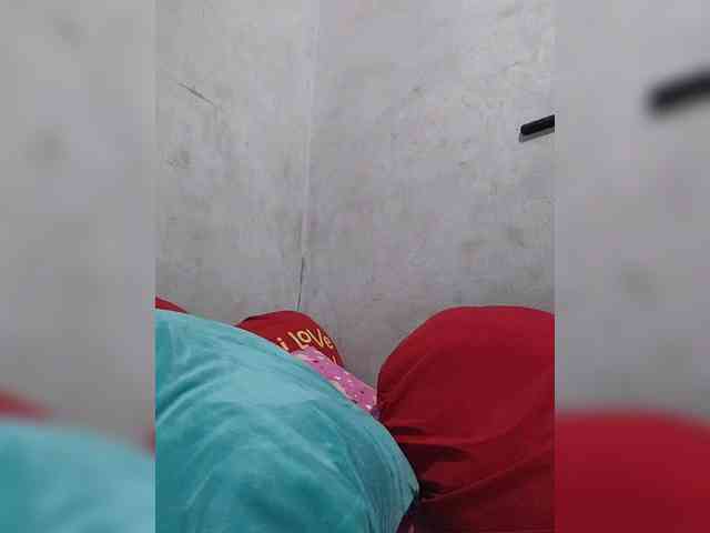revive02 webcam