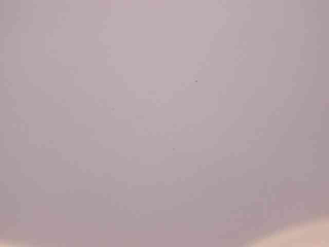 rousee webcam