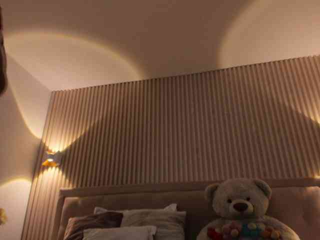 rousee webcam