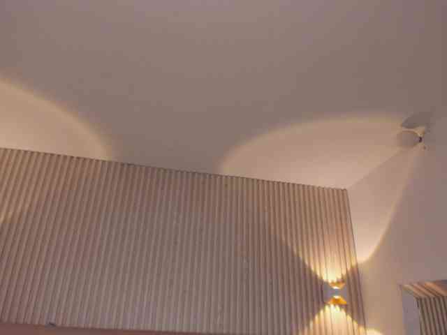 rousee webcam