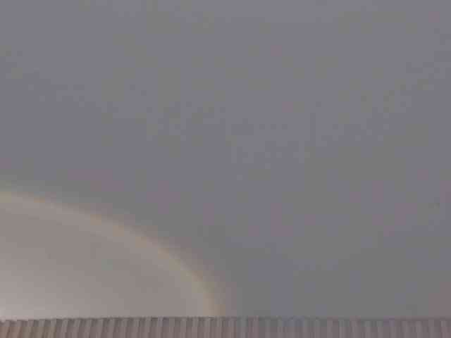 rousee webcam