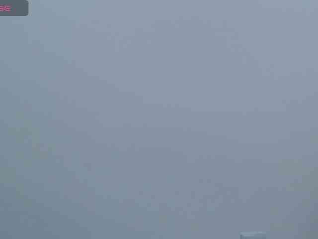 Kendra-018 webcam