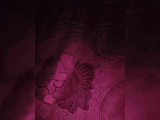 MeliissaVelez webcam