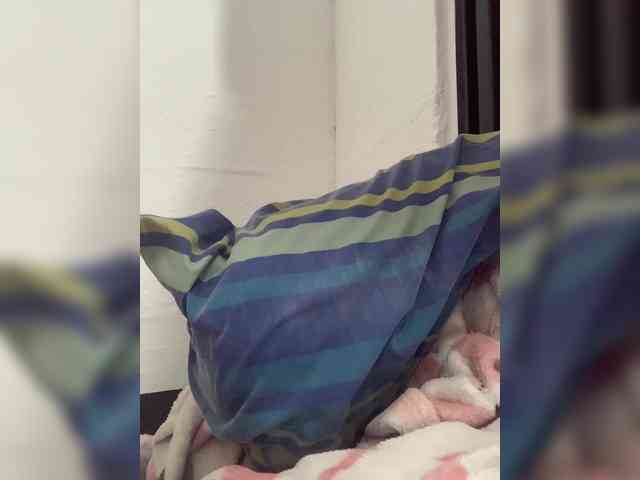 MeliissaVelez webcam