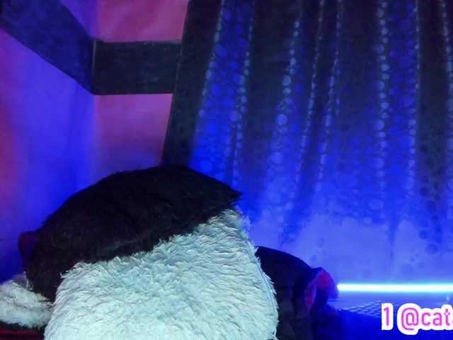 Preview of cata-anngel