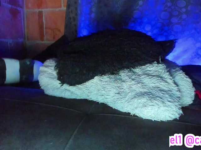 cata-anngel's BongaCams show and profile