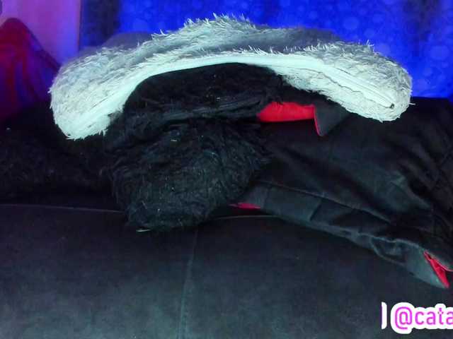 cata-anngel from BongaCams is Freechat