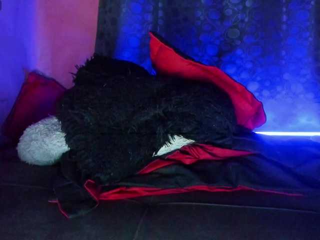 cata-anngel's BongaCams show and profile